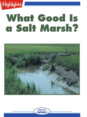 cover image of What Good Is a Salt Marsh?